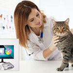 Bruce Copen uso veterinario