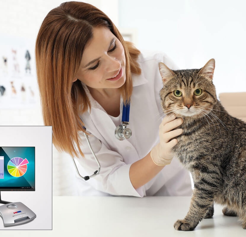 Bruce Copen uso veterinario